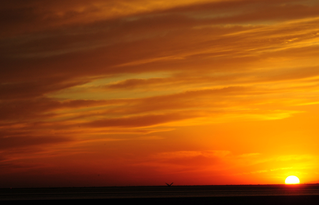 DSC_0174.jpg