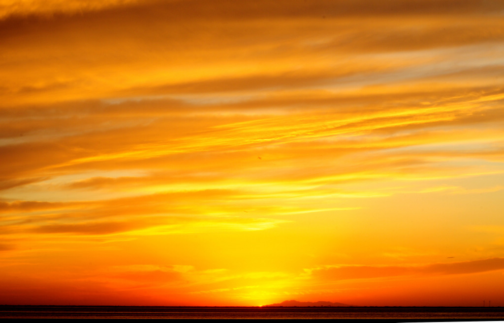 DSC_0184.jpg
