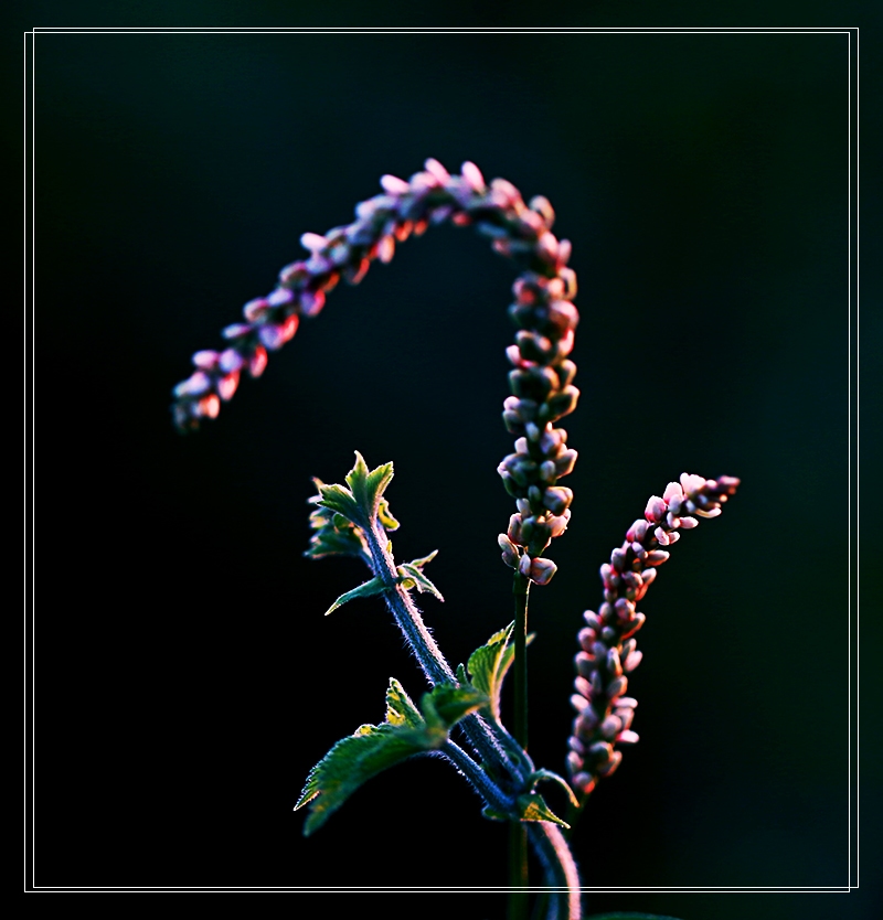 H46R5862.jpg