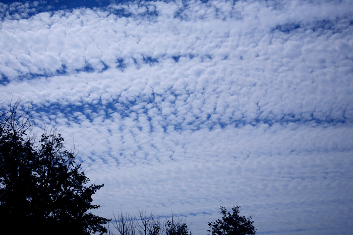 00 IMG_0011a.jpg