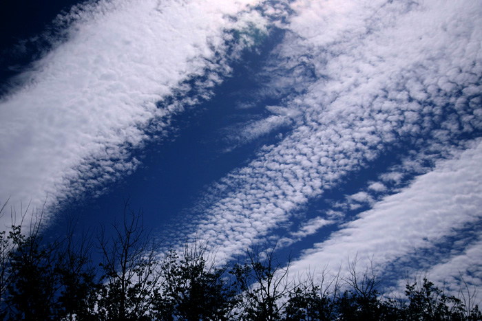 00 IMG_0003a.jpg