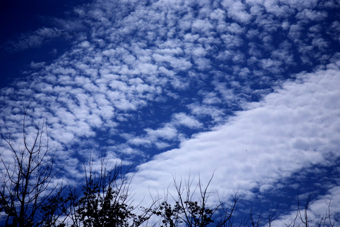 00 IMG_0009a.jpg