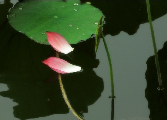 QQͼƬ20130801201347.jpg