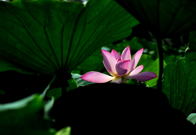 DSC_0030.JPG
