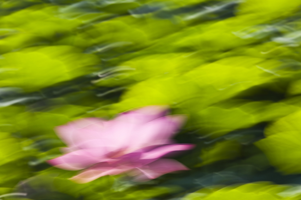 329A8939.jpg