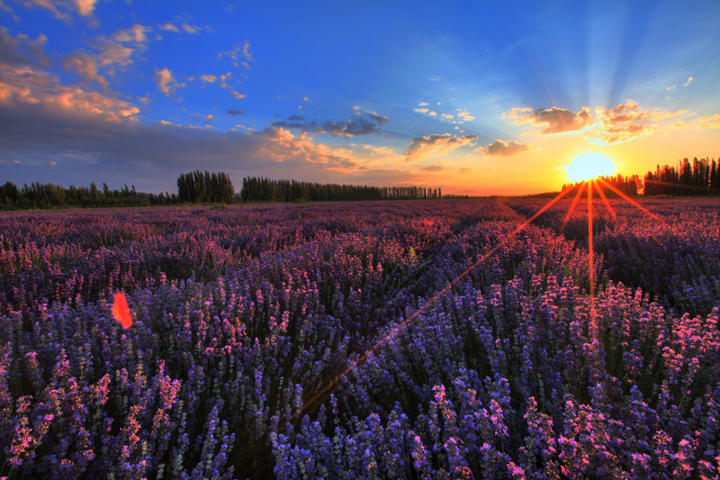 IMG_0448_51_53_55_58_tonemapped..jpg