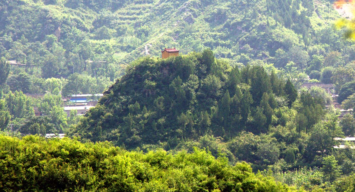96.jpg