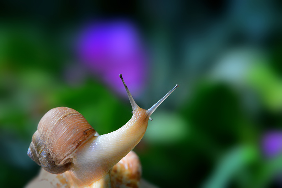 DSC_5734 .jpg