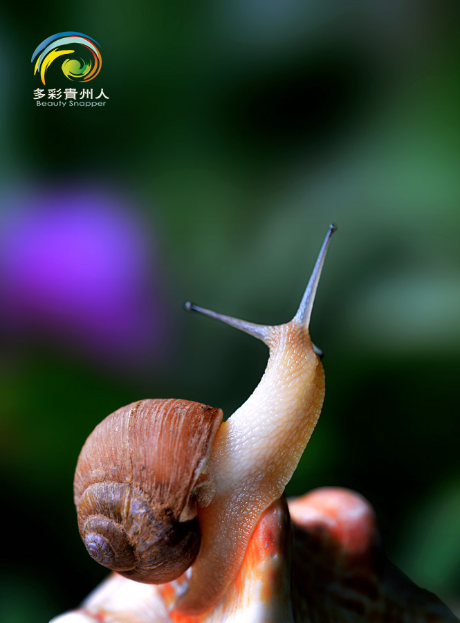 DSC_5789 .jpg