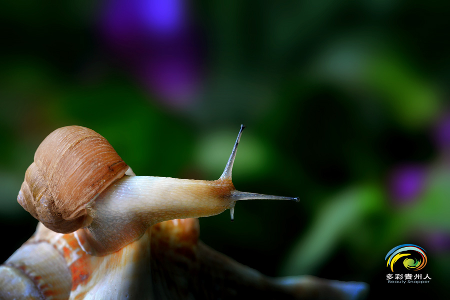DSC_5733 .jpg