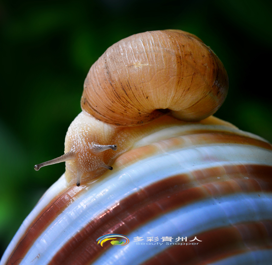 DSC_5628 .jpg