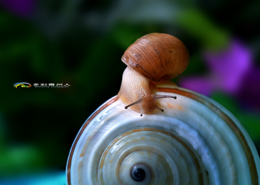 DSC_5624 .jpg