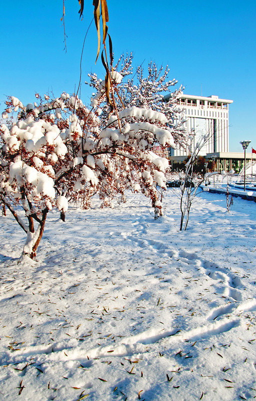 _MG_01051_.jpg