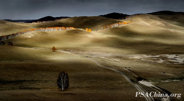 01.ѧƷ＾Autumn pasture.jpg