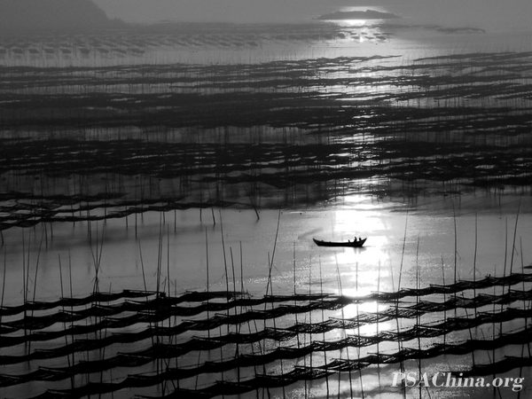10.Ʒ۳ءMorning of habour.jpg
