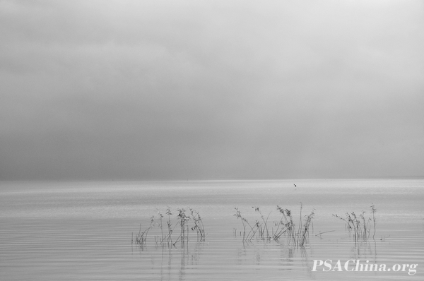 11.˽Ʒ̫Still Taihu lake.jpg