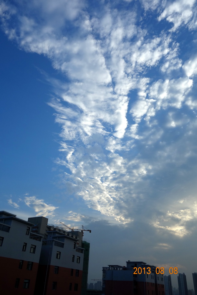 DSC03499.jpg