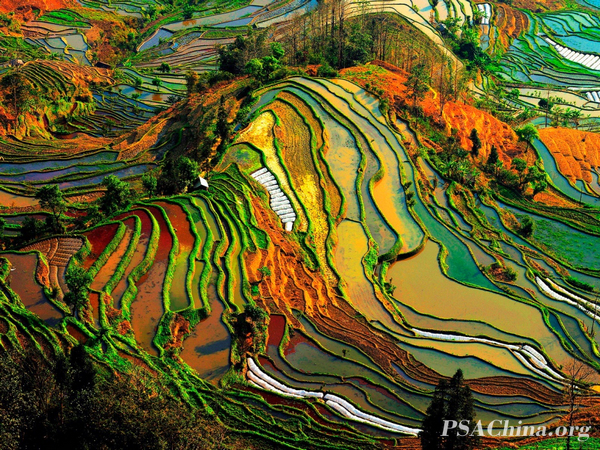 04.ԾƷɡRhythm of the earth.jpg