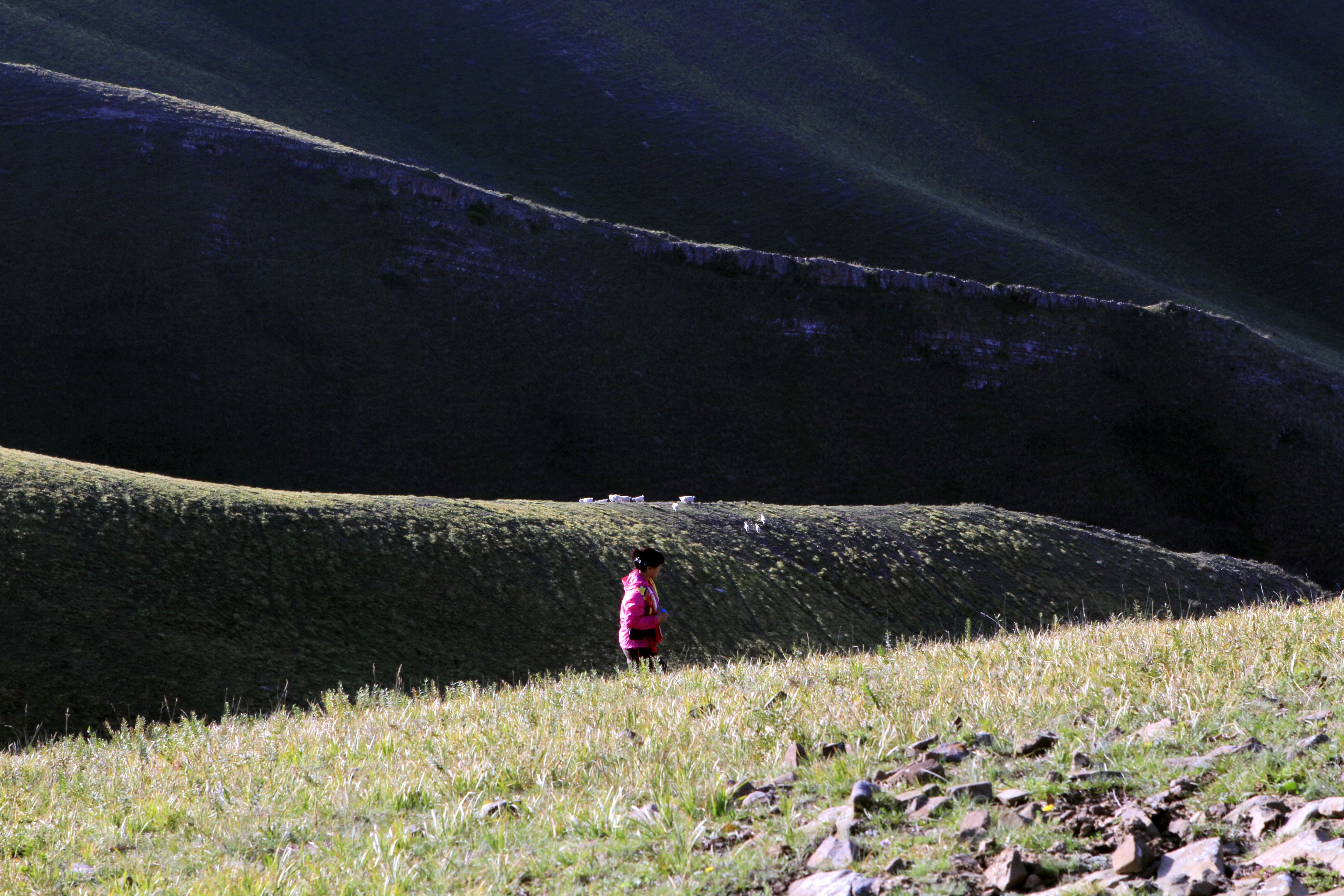 _MG_6914.JPG