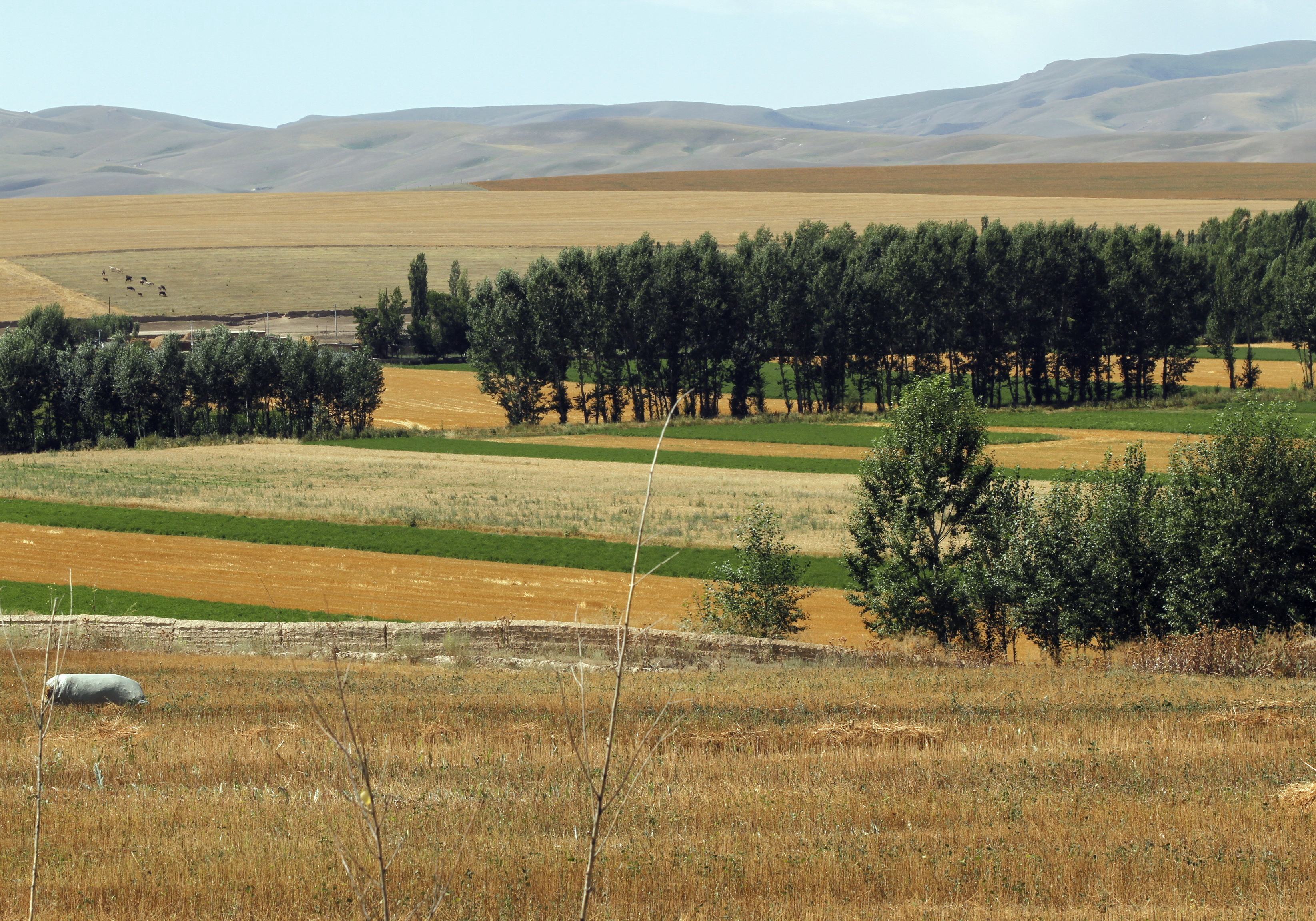 _MG_7581.JPG