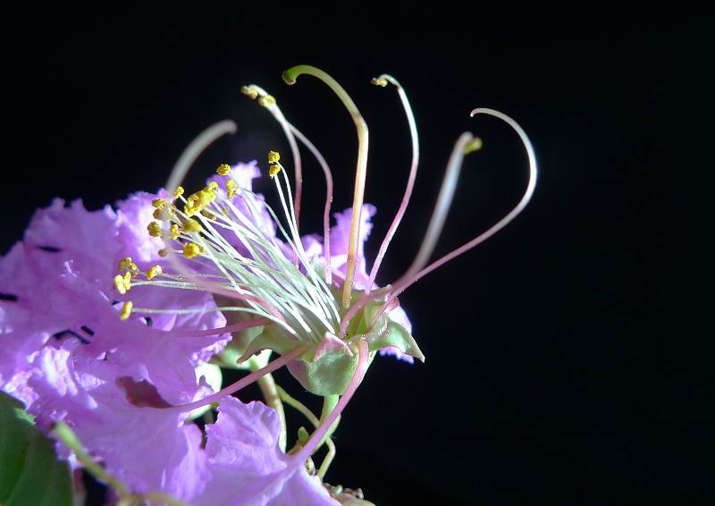 P1090014.jpg