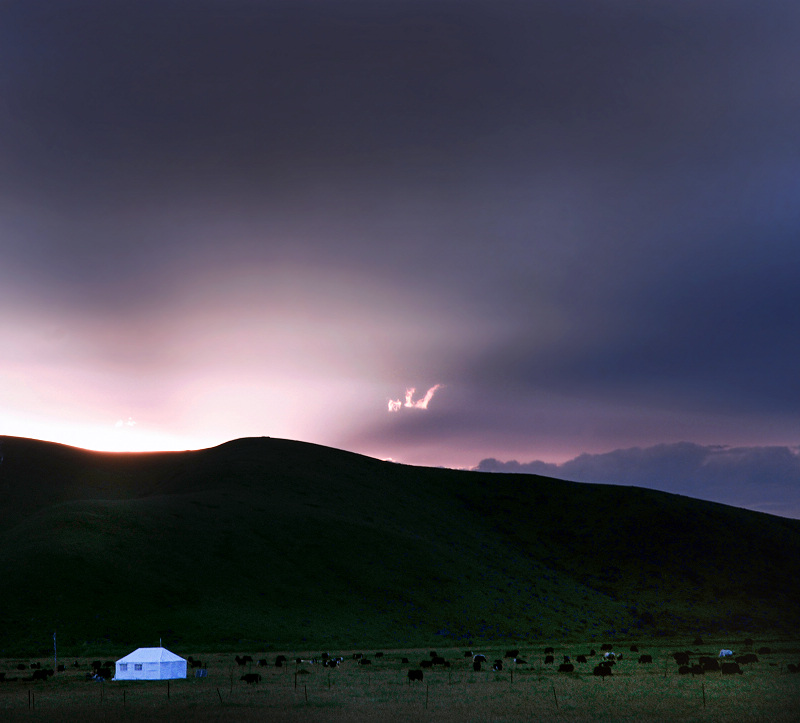 DSC_8661n811pmx.jpg