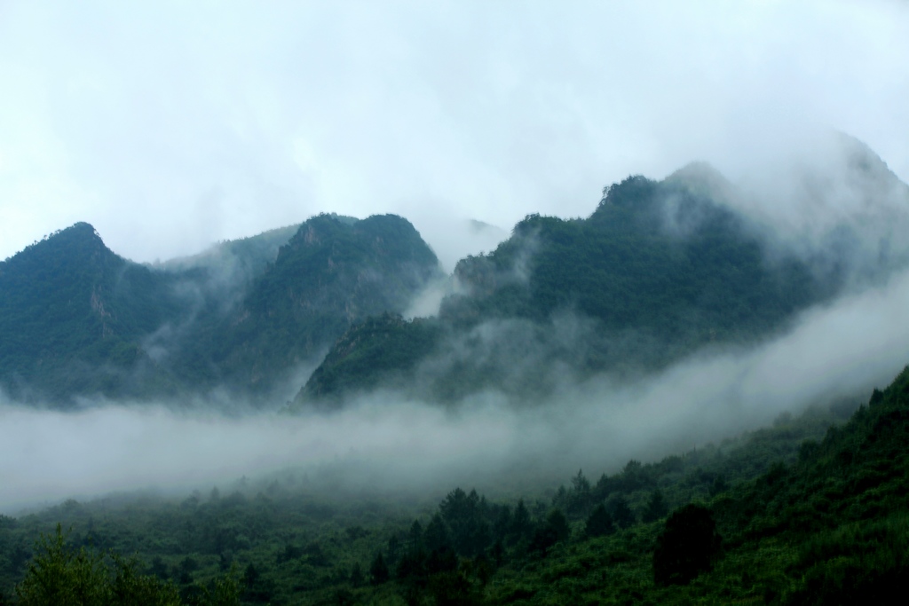 IMG_9696BY.jpg
