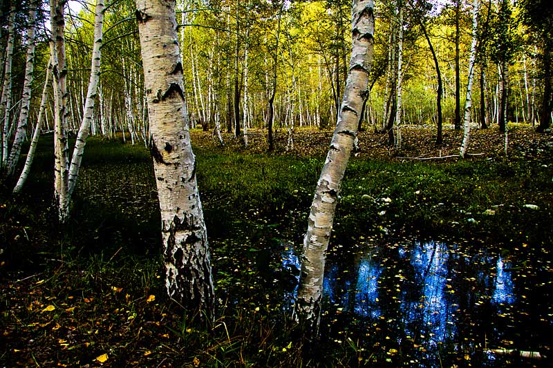 _MG_4552.JPG