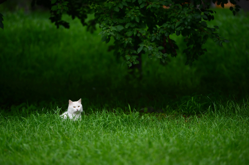 DSC_0401.jpg