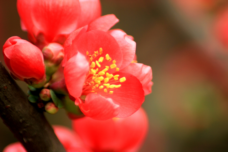 Ƭ 068.jpg