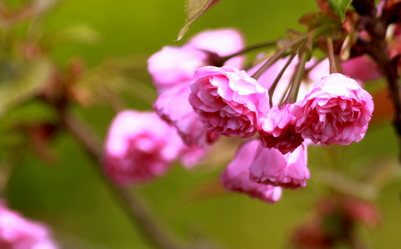 Ƭ 089.jpg
