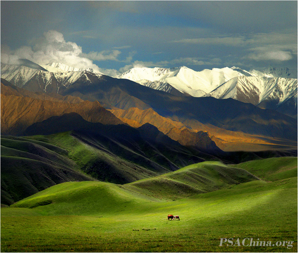 11.ƷɽԭTianshan Grassland.jpg