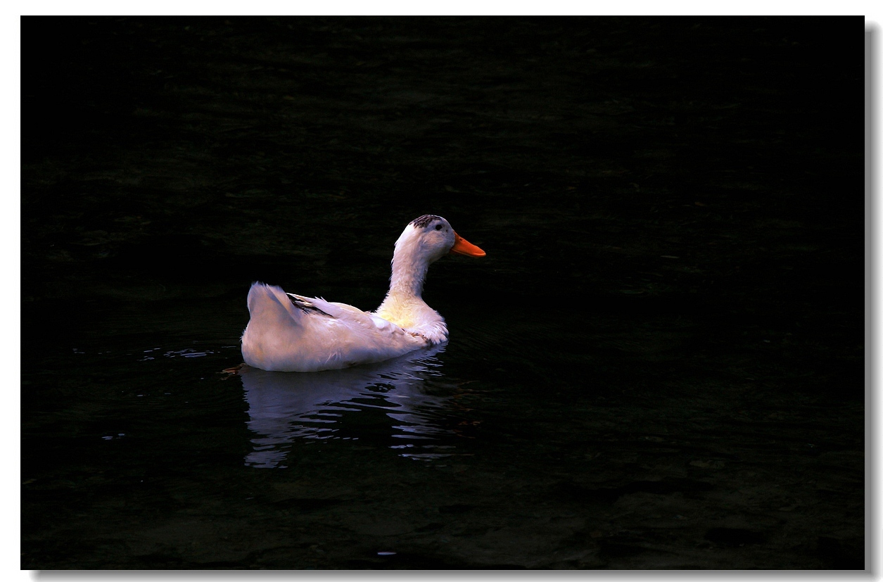 IMG_7591.JPG