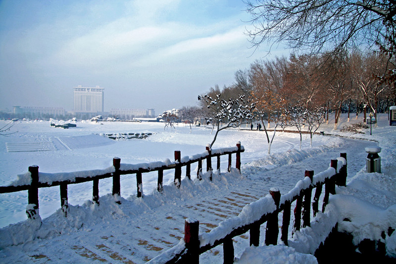 _MG_00881_.jpg
