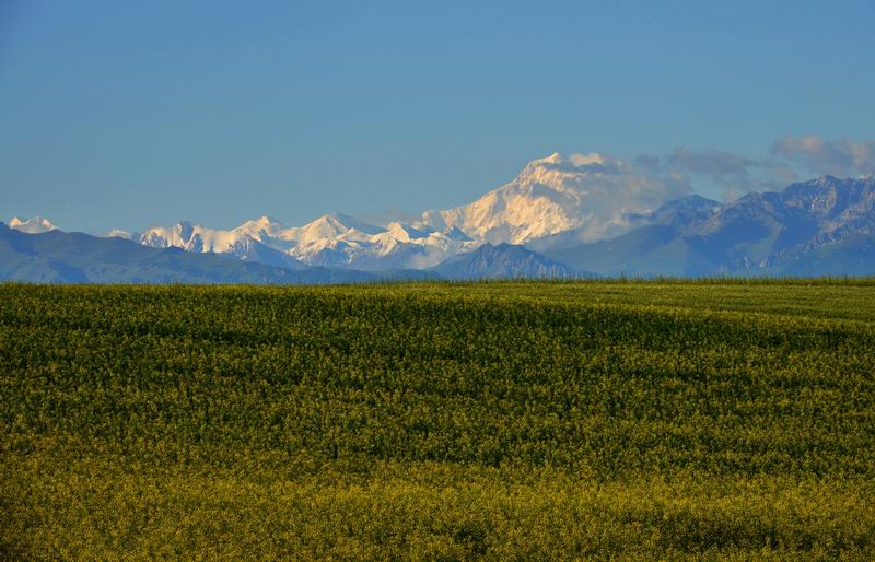 DSC_7204.jpg