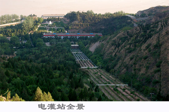 20089885248385.jpg