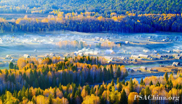 01.־PSTC-SMľɫAutumn grasses.jpg
