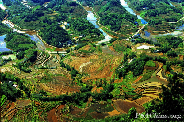 09.ԾƷ԰Jing Xiu pastoral.jpg