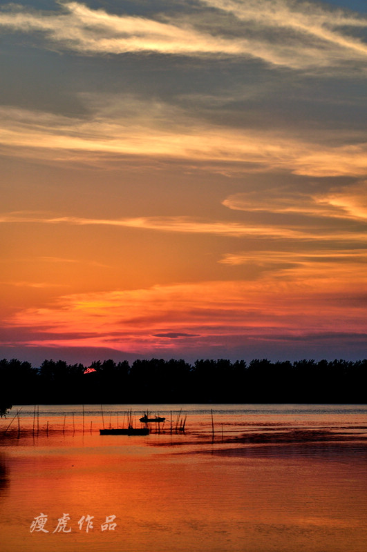 DSC_3989-nx_xc1.jpg