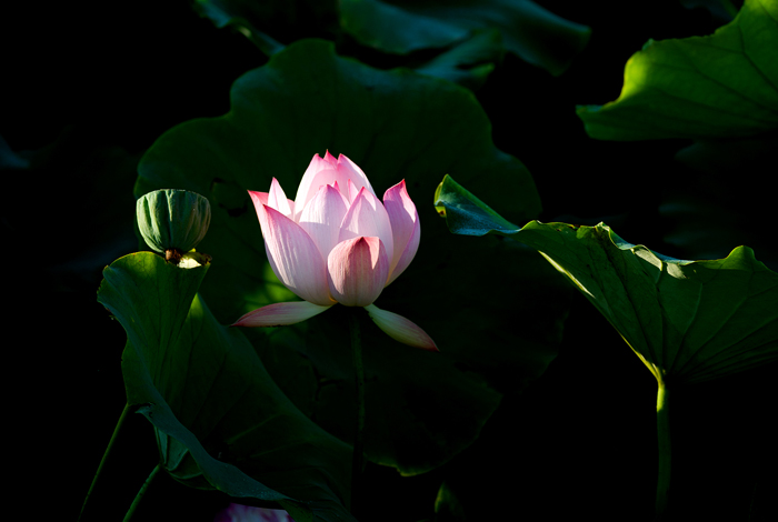 DSC_5463-.jpg