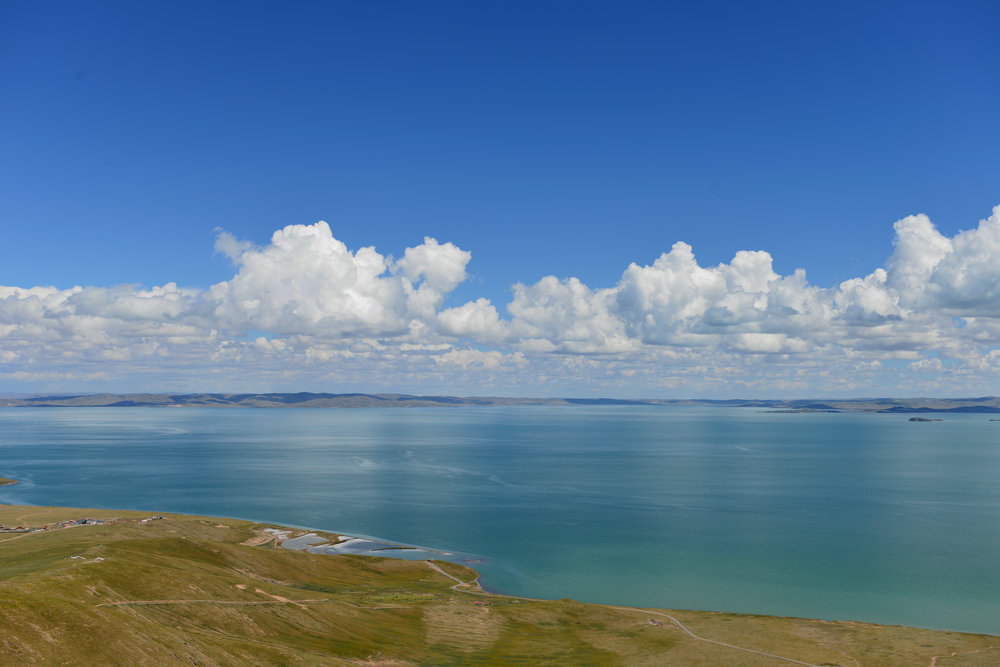 DSC_2276_.JPG
