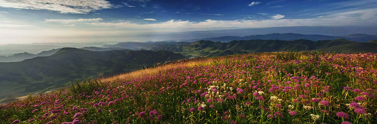KK222 Pan.jpg