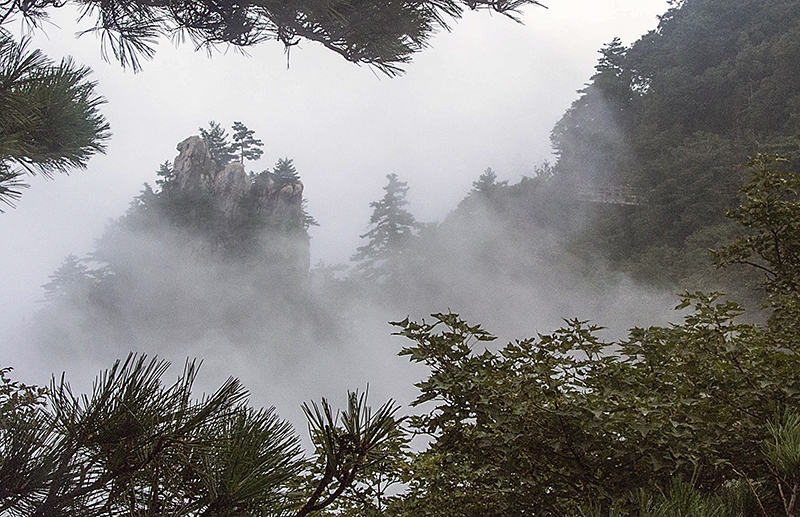 DSC_2514.jpg