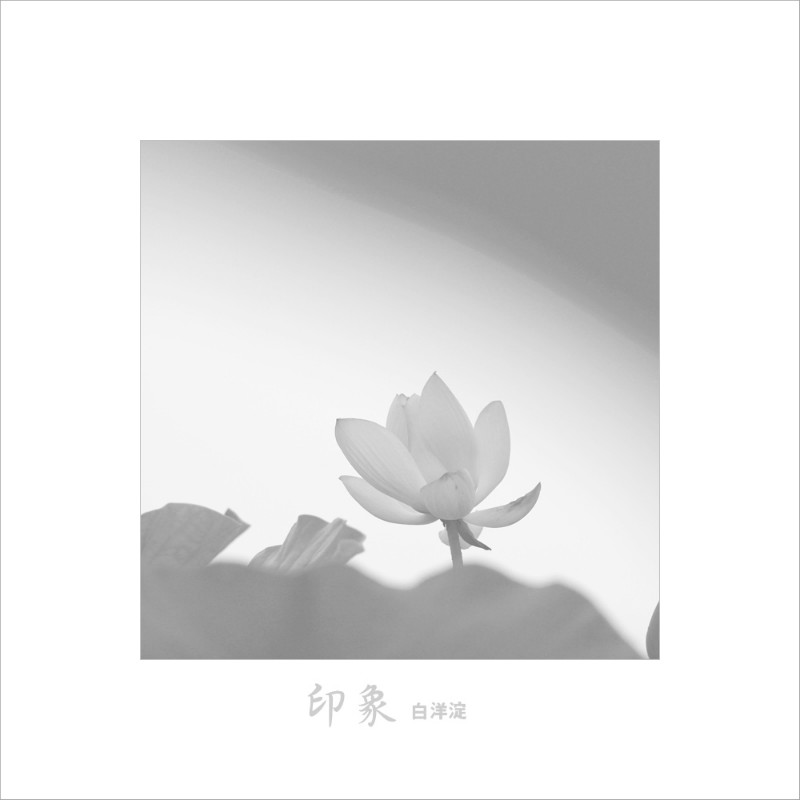 psb (9).jpg