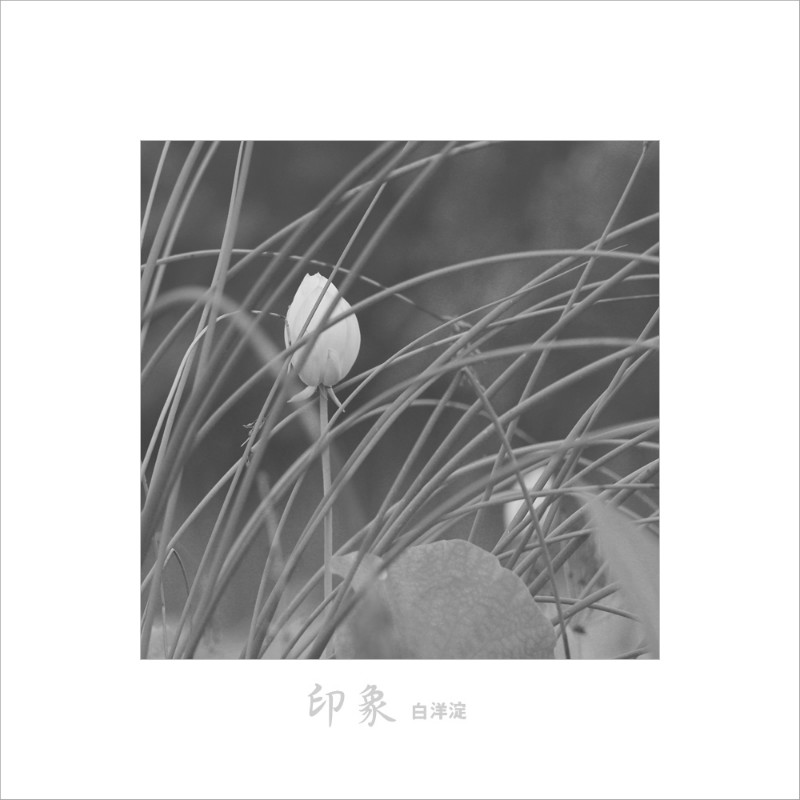 psb (8).jpg
