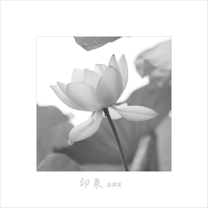 psb (7).jpg