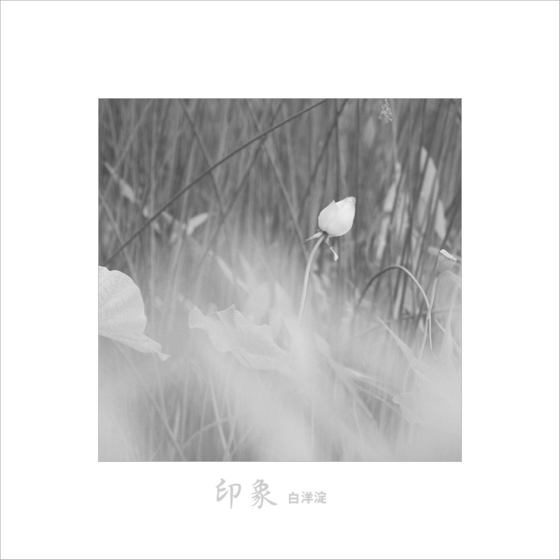 psb (5).jpg