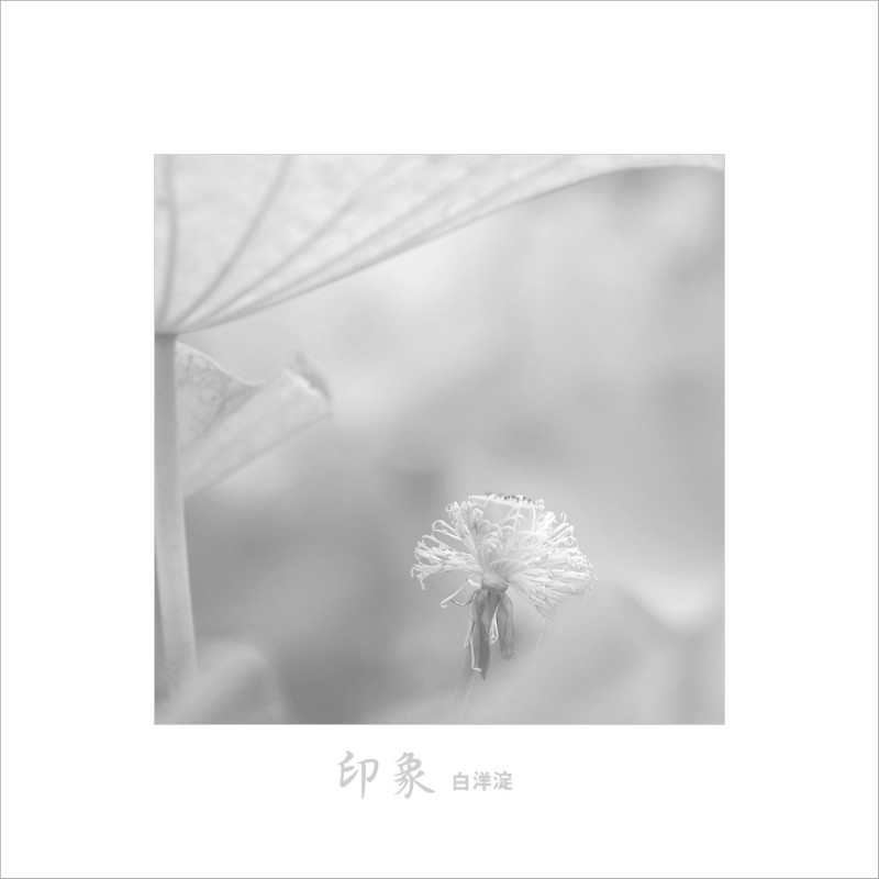 psb (3).jpg