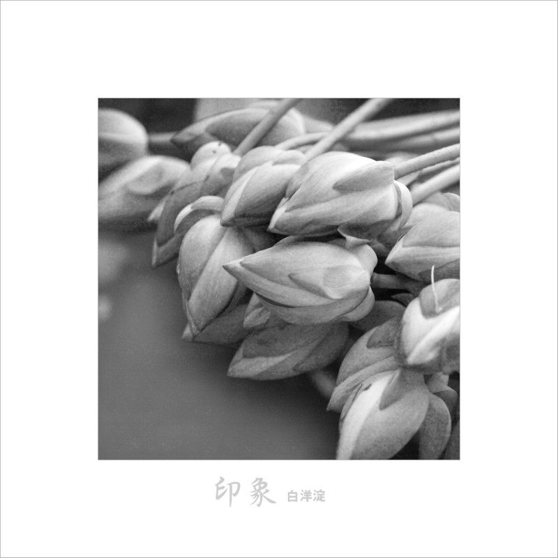 psb (2).jpg