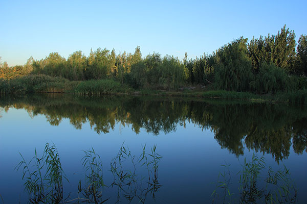 2013.9.8ģгȻ